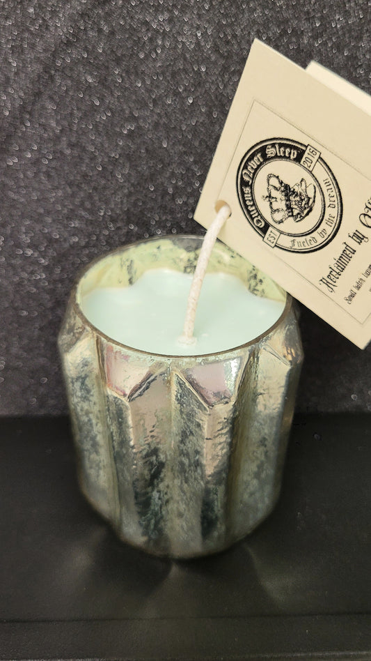 Grow Wild Coconut Soy Candle